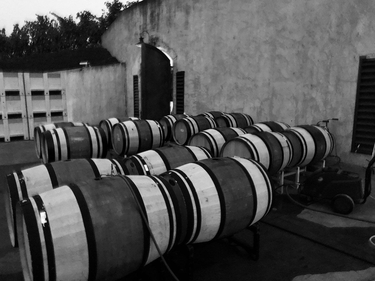 Forthright Winery Barrels Outside Fill